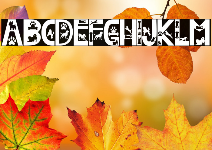 Doggy Smart Example 3