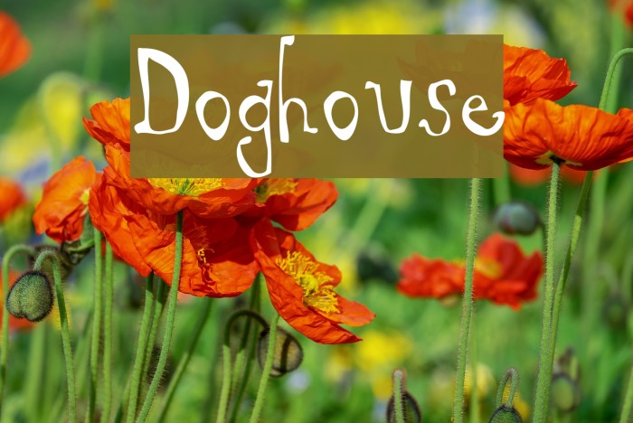 Doghouse Font examples