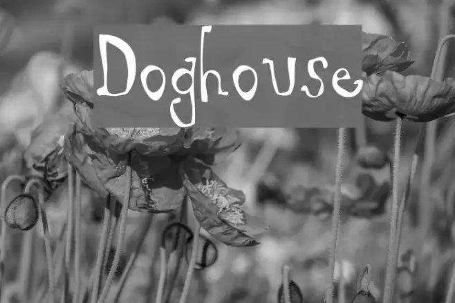 Doghouse Example 2