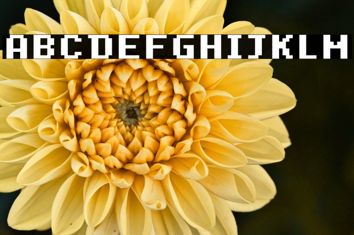 Dogica Pixel Bold Example 3