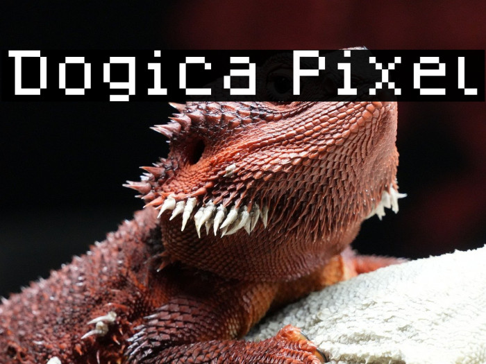 Dogica Pixel Example 2