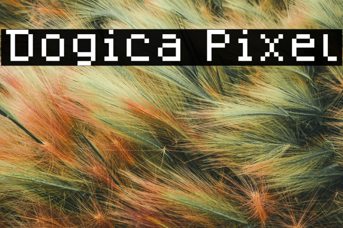 Dogica Pixel Example 3