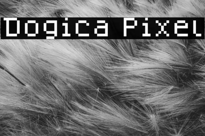 Dogica Pixel Example 3