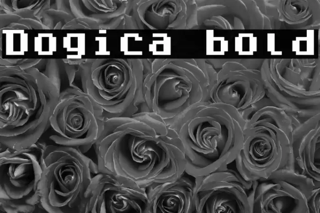 Dogica bold Font examples