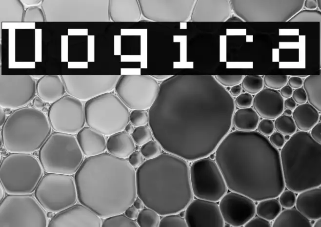 Dogica Example 3