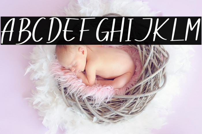 Dogina Summer フォント examples