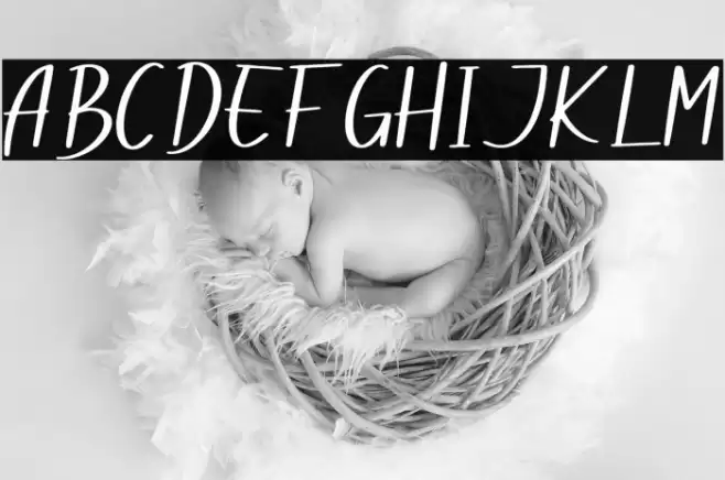 Dogina Summer Font examples