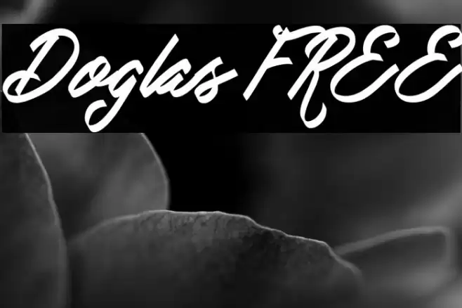 Doglas FREE Font examples