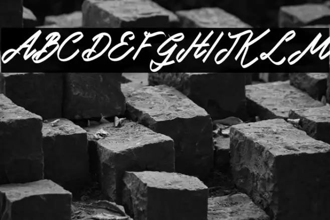 DoglasFREE Example 1