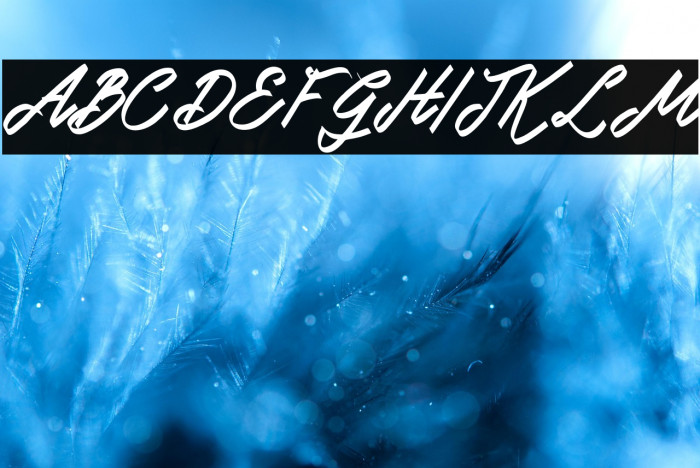 DoglasFREE Example 2