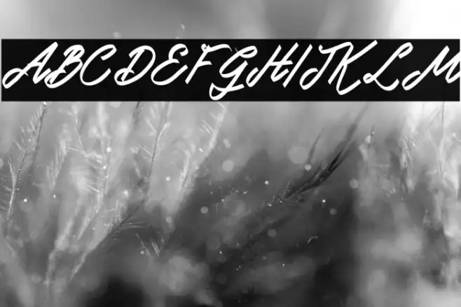 DoglasFREE Example 2