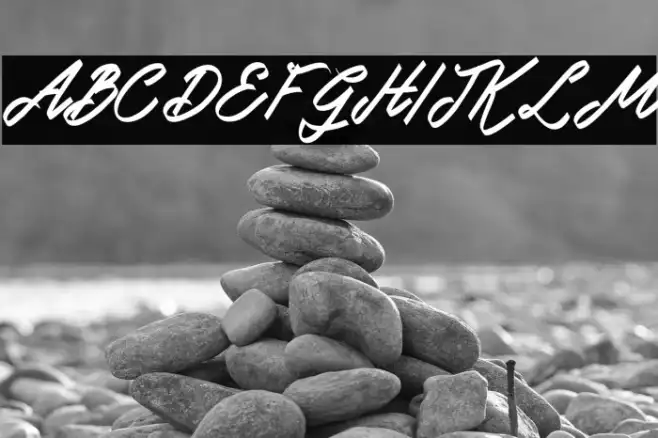 DoglasFREE Example 3