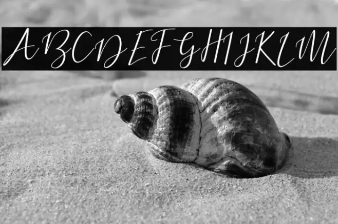 DogmaScript Font examples