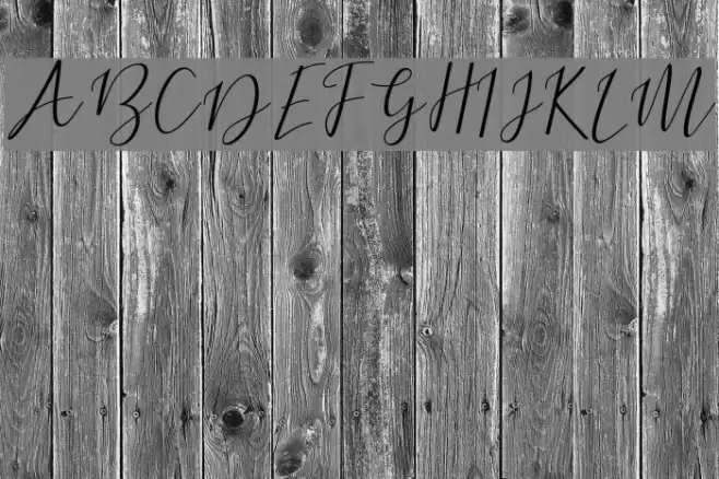 DogmaScript Font examples