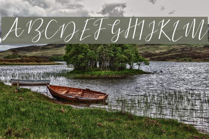 DogmaScript Example 3