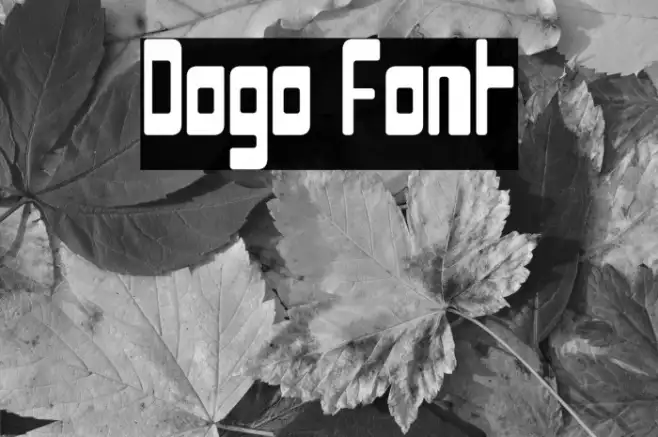 Dogo Example 1
