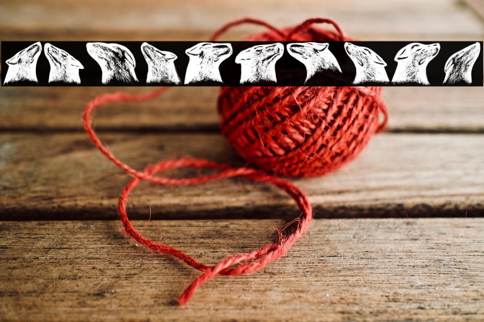 Dogs Regular Example 1