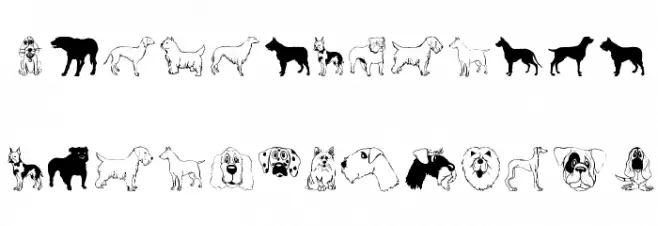 DogsFewCats Font Litere mari
