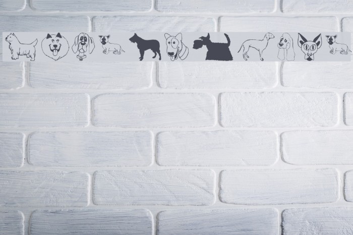 DogsFewCats Caratteri examples