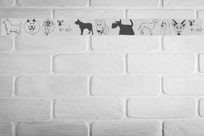 DogsFewCats Font examples