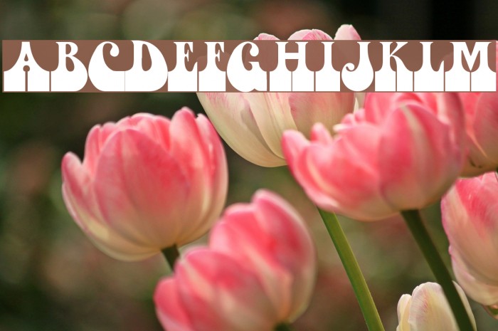 Dogsmoke II Font examples