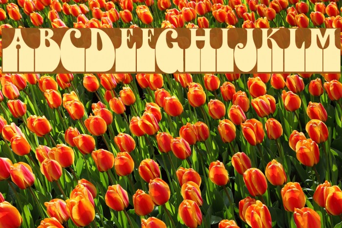 Dogsmoke Thunder II Example 1