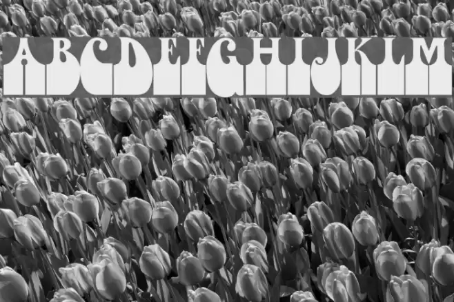 Dogsmoke Thunder II Font examples