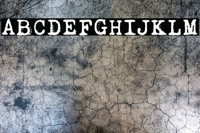 Dogtown Typewriter Example 3