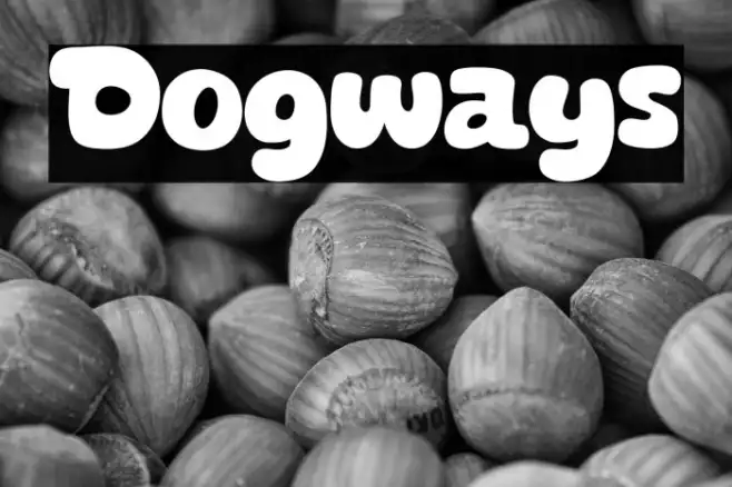 Dogways Example 1