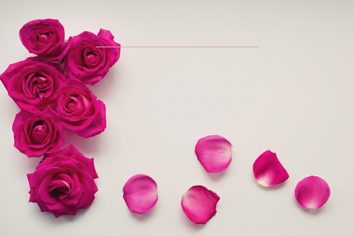 Dogwood Font examples