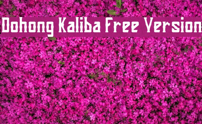 Dohong Kaliba Free Version Font examples