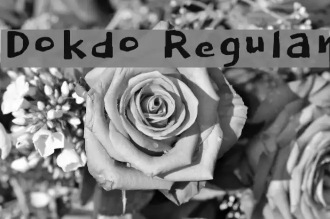 Dokdo Regular Example 1