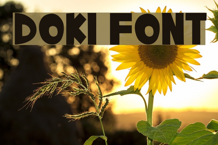 Doki Font examples