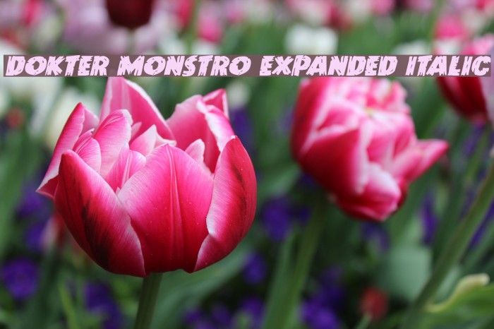 Dokter Monstro Expanded Italic Font examples