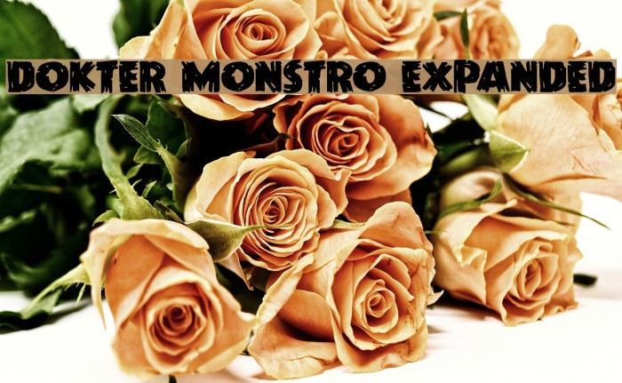 Dokter Monstro Expanded Font examples