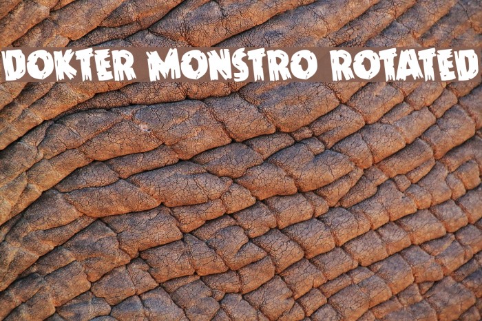 Dokter Monstro Rotated Example 3