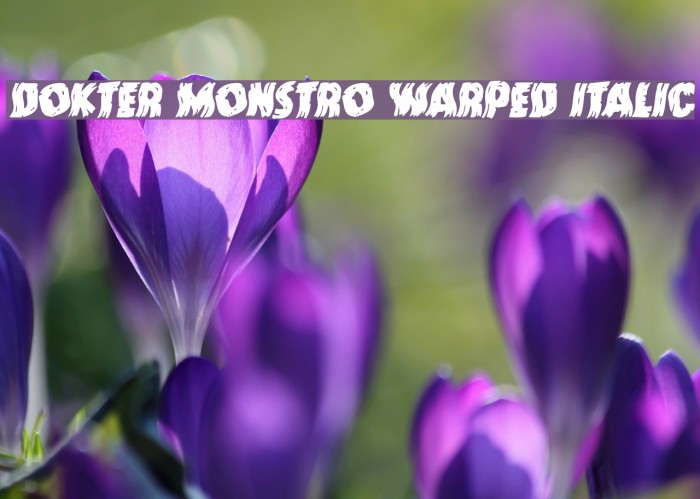 Dokter Monstro Warped Italic Font examples