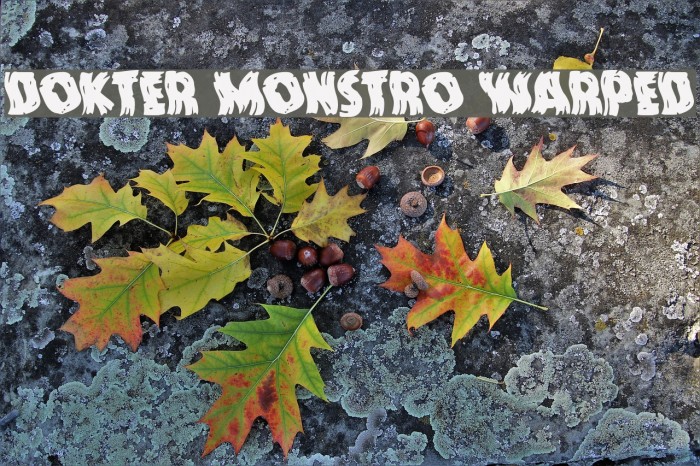 Dokter Monstro Warped Font examples