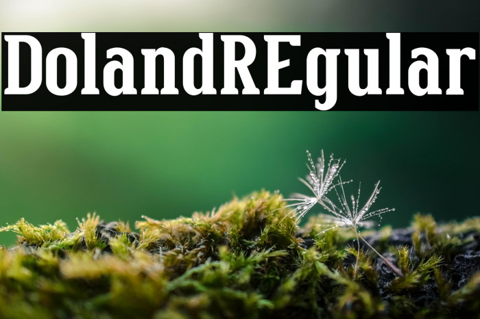 DolandREgular Example 2