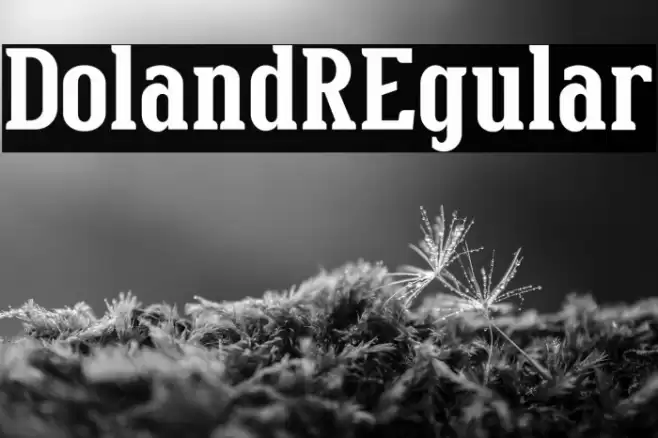 DolandREgular Font examples