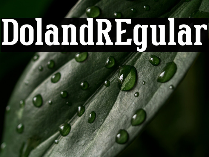 DolandREgular Example 3