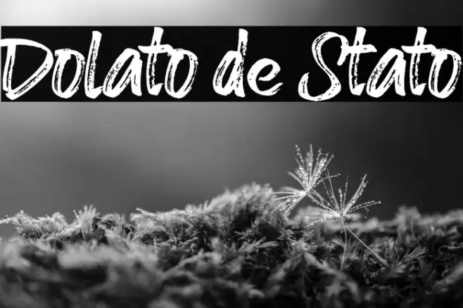 Dolato de Stato Example 1