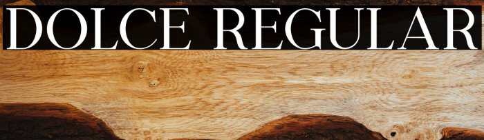 Dolce Regular Example 2