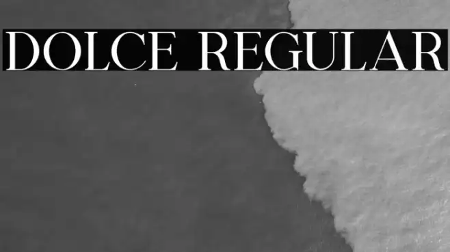 Dolce Regular Example 3