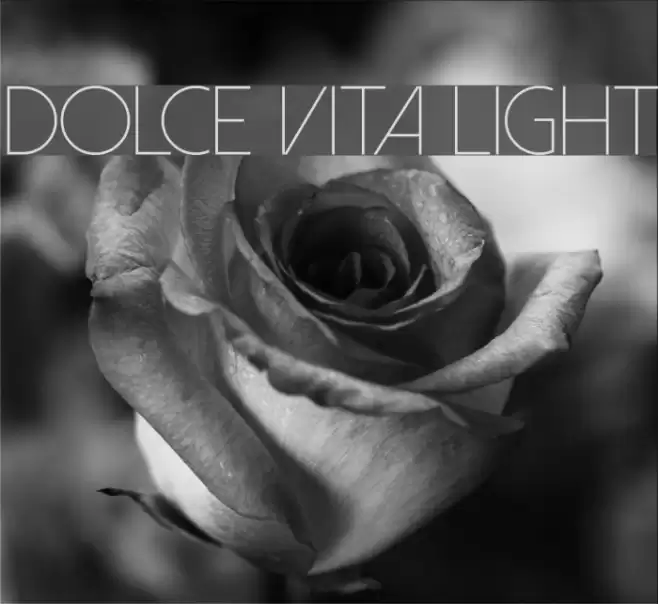 Dolce Vita Light Font examples