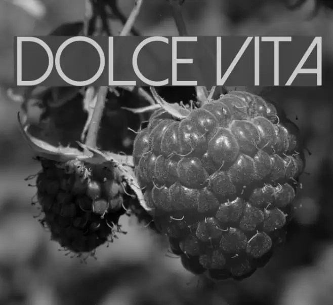 Dolce Vita Font examples