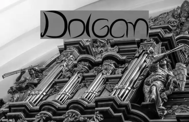 Dolgan Example 1