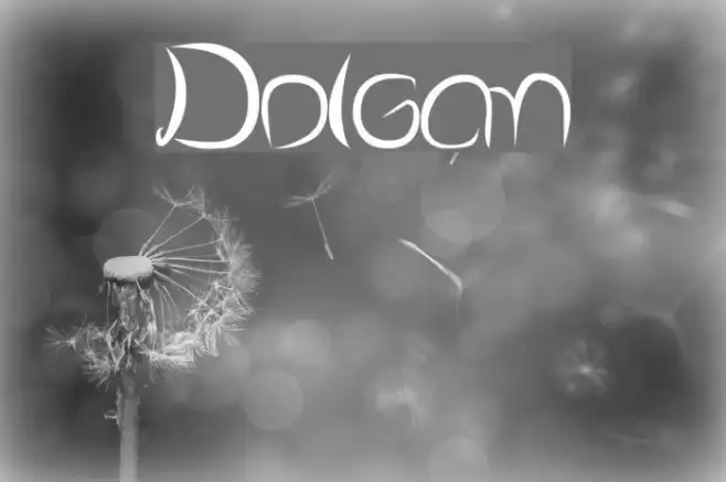 Dolgan Example 3