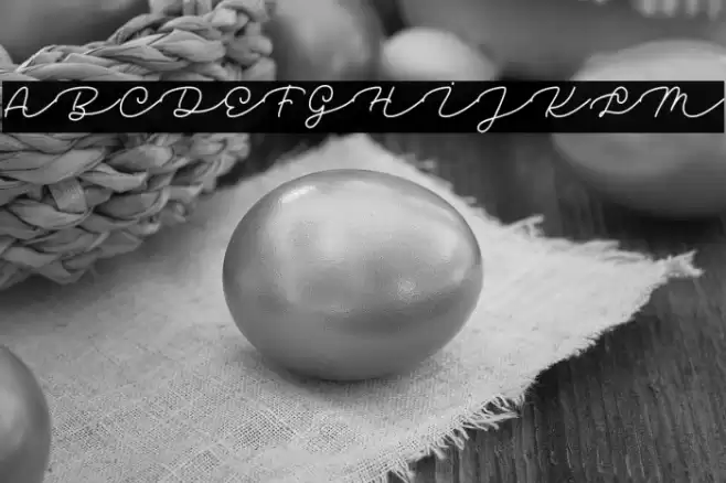 Dolica Kathy Font examples