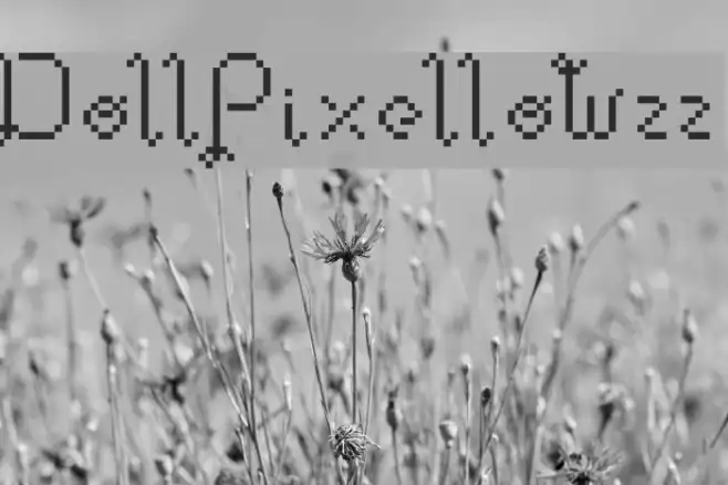 DollPixellowzz Example 3